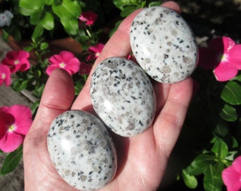 Sesame Jasper  Choose One  Palm Stone - Natural Kiwi Sesame Jasper from New Zealand