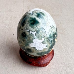 Ocean Jasper Egg – Natural Crystal Egg for Healing & Meditation – Chakra Stone – Crystal Decor – Unique Gift – Metaphysical Egg E5