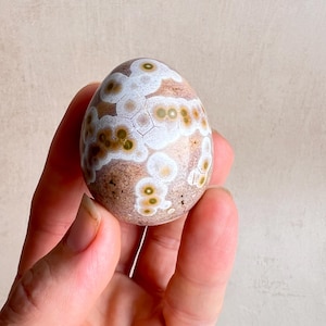 Ocean Jasper Egg – Natural Crystal Egg for Healing & Meditation – Chakra Stone – Crystal Decor – Unique Gift – Metaphysical Egg E6