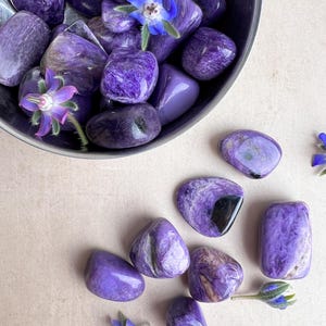 Polished Charoite Pocket Stone: Rare Siberian Purple Crystal