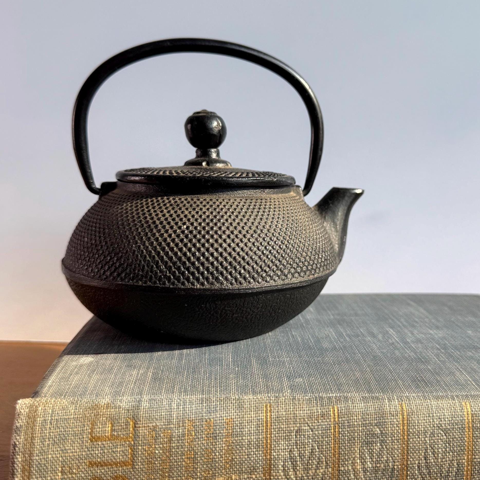 Tetsu Kyusu - Etsy