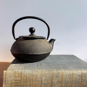 Vintage Japanese Tetsu-Kyusu Teapot | Cast Iron Teapot