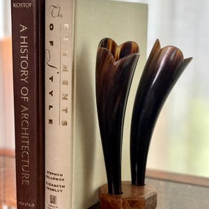 Può includere: Due recipienti in corno color marrone scuro e crema con bordi svasati a forma di petalo, montati verticalmente su una base esagonale in legno. I recipienti sono posizionati accanto a due libri con copertina rigida intitolati A History of Architecture e The Elements of Style.
