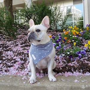 French Bulldog, French Bulldog bandana, Bandana, Reversible Bandana, Pet accessories, Dog accessories, Dog bandana
