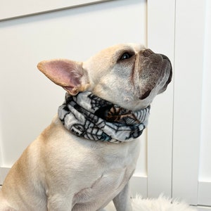 Frenchie dog accessories cheap