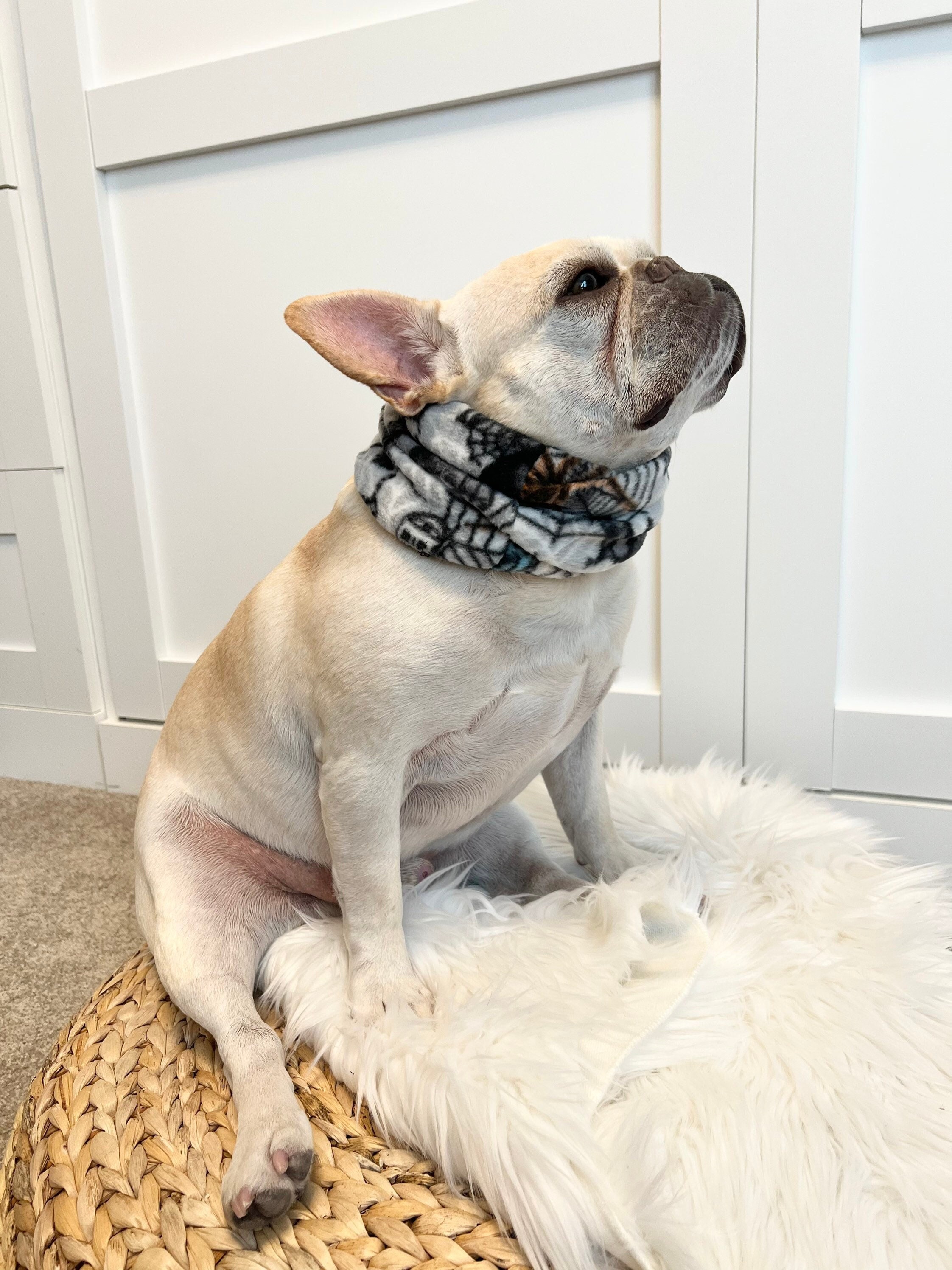 French Bulldog Frenchie Neck Gaiter Neck Warmer Dog Scarf Pet
