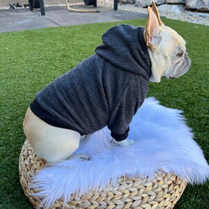 French bulldog, French bulldog clothes, French bulldog hoodie, French bulldog apparel, Dog Hoodie, Dog Clothes, Heather gray