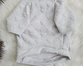 French bulldog, French bulldog sweatshirt, French bulldog clothes, Pet apparel, Pet clothing, Dog shirt, Dog clothes, Dog apparel