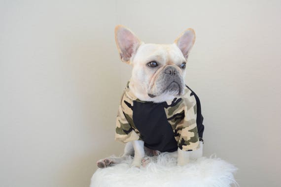 frenchie clothing