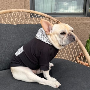French bulldog, French bulldog clothes, French bulldog hoodie, French bulldog apparel, Dog Hoodie, Dog Apparel, Dog Clothes, Pet clothing