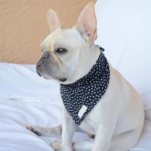 French Bulldog, French Bulldog bandana, Bandana, Reversible Bandana, Pet accessories, Dog accessories, Dog bandana