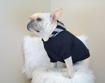 Puede incluir: Un bulldog francés blanco con un jersey negro con capucha y rayas grises en la capucha. El perro está sentado en una superficie blanca y esponjosa.
