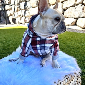 French bulldog, French bulldog clothes, French bulldog hoodie, Auburn plaid, Plaid, Dog Hoodie, Dog Apparel, Dog Clothes, Pet clothing