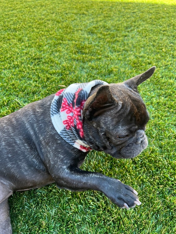 French Bulldog Frenchie Neck Gaiter Neck Warmer Dog Scarf Pet
