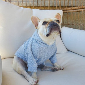 French bulldog, French bulldog clothes, French bulldog hoodie, French bulldog apparel, Dog Hoodie, Dog Clothes