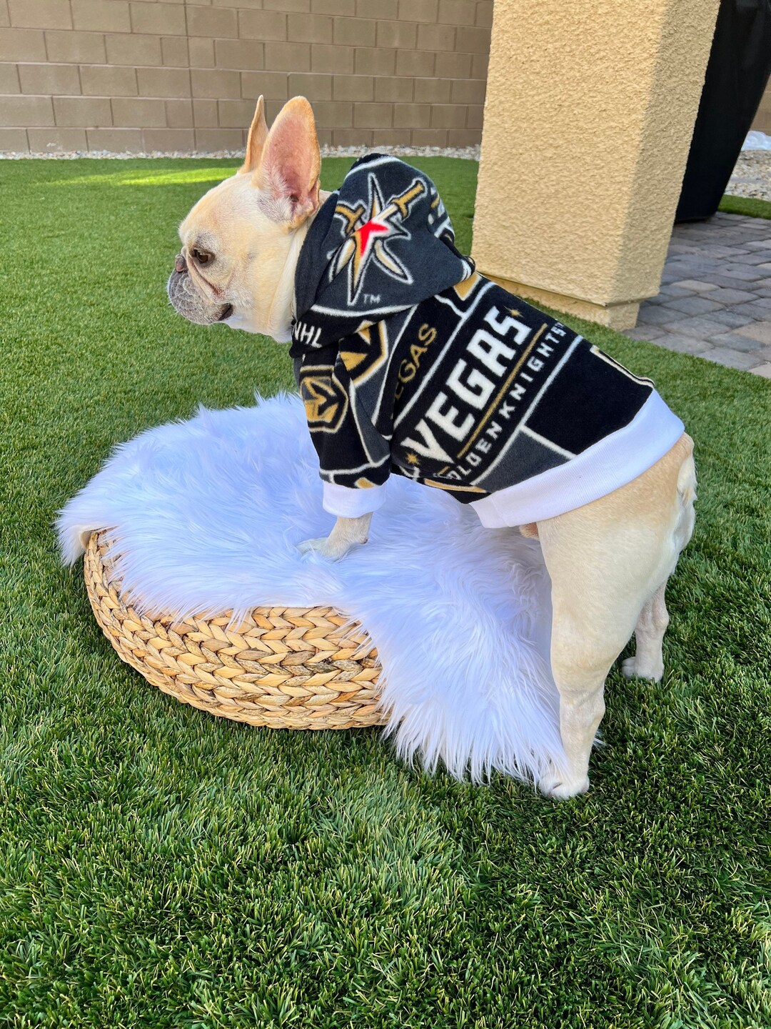 French Bulldog, French Bulldog Clothes, French Bulldog Hoodie, Dog