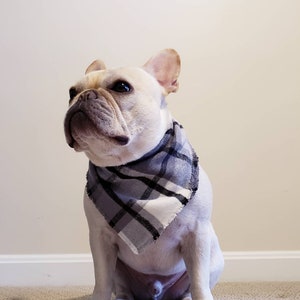 French bulldog scarf/bandana, pet accessories, Frenchie accessories