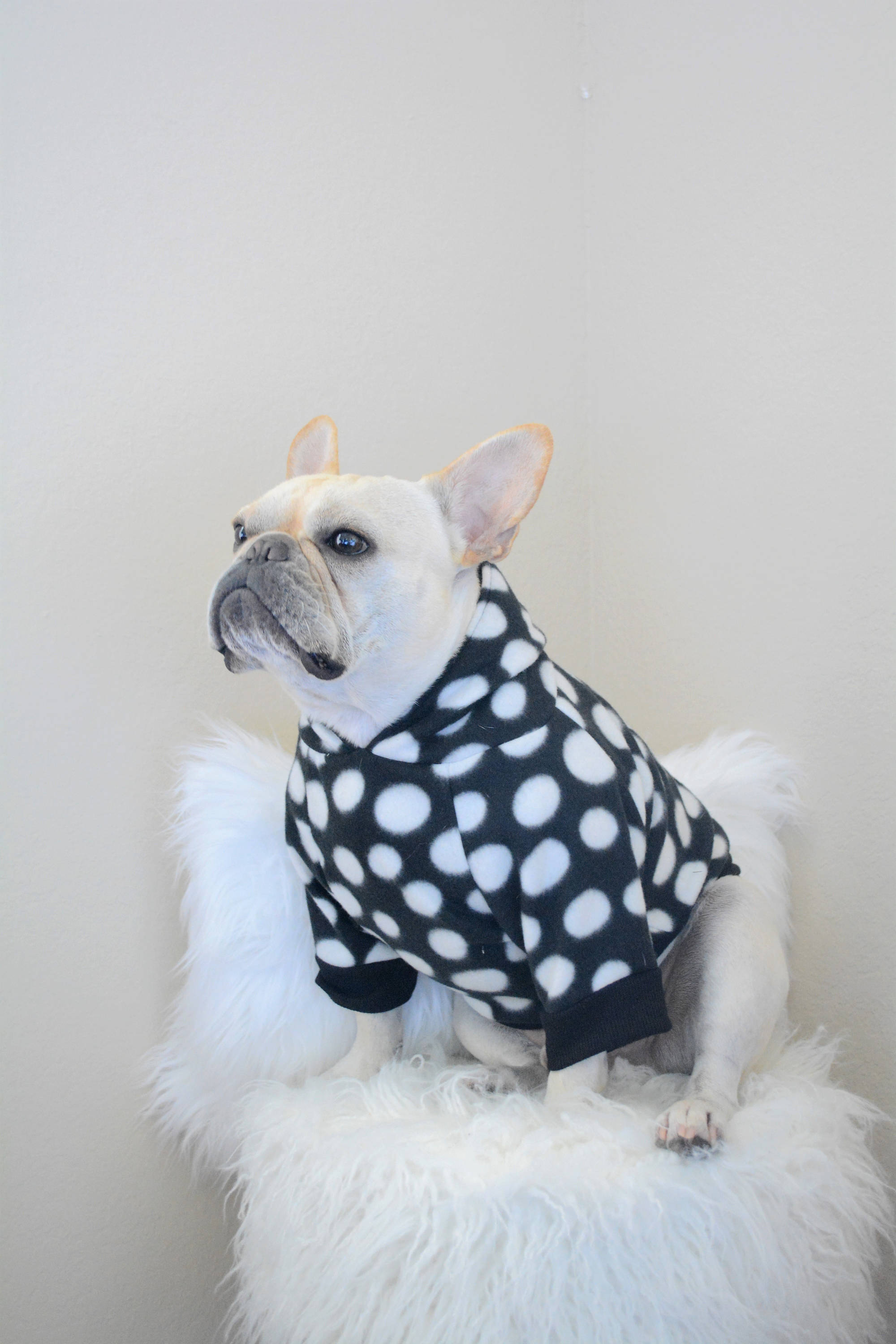 French bulldog French bulldog clothes French bulldog hoodie Etsy