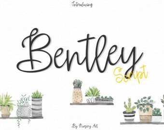 Bentley Fonts Download font Swirly Font Script Font Digital download swash font Cricut font calligraphy font wedding font bundle