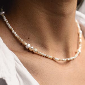 Elegant Pearl & Shell Necklace