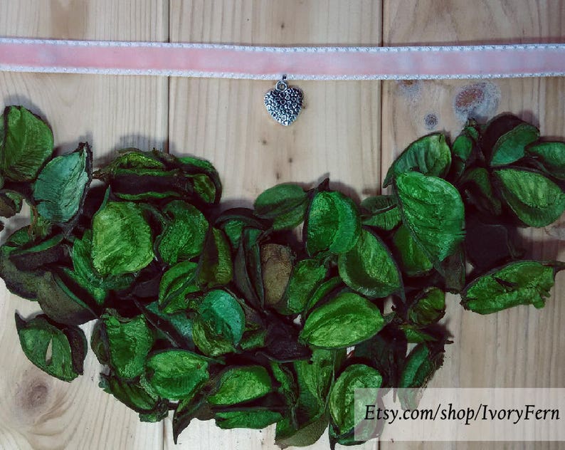 nymphet choker heart necklace heart choker velvet necklace Pink velvet choker silver choker collar lolita choker pink necklace