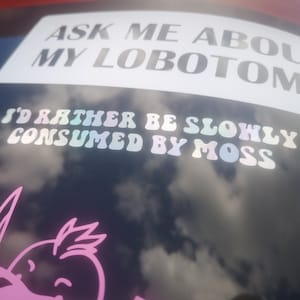 Może przedstawiać: Czarny samochód z naklejką z napisem "Zapytaj mnie o moją lobotomię" i inną naklejką z napisem "Wolę być powoli pochłonięty przez mech".