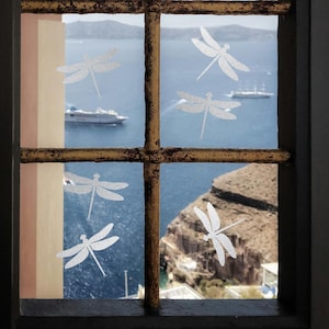 Op de afbeelding: Een raam met een roestig metalen frame, met uitzicht op de zee en een ver eiland. Decoratieve witte libellenstickers zijn op het glas aangebracht. Een cruiseschip en andere boten zijn op het water te zien.