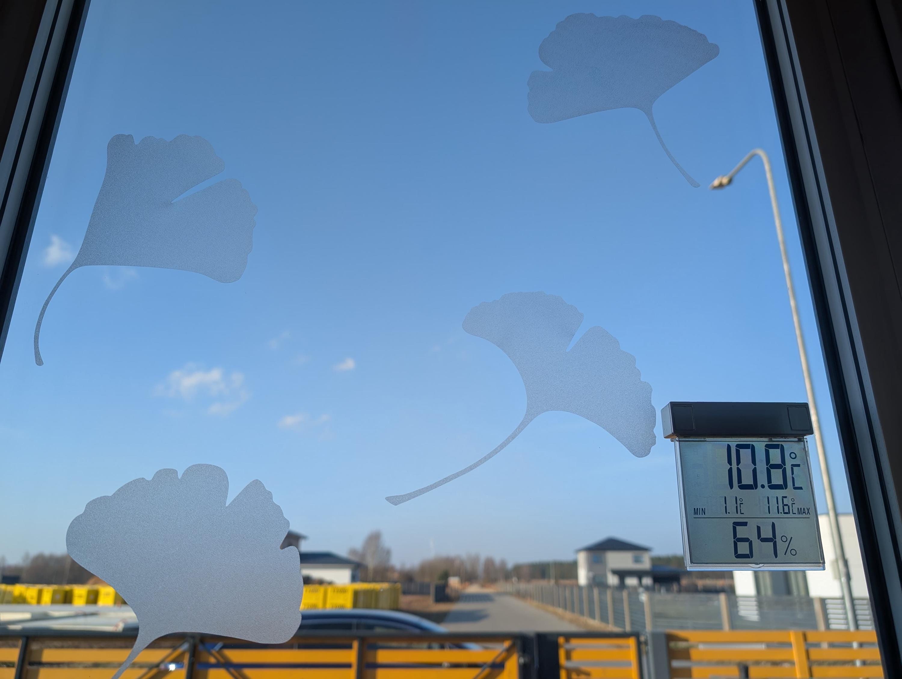 Gingko Window 6 Ginkgo Window Decals, Frosted Window Clings, Etched Window Stickers ...