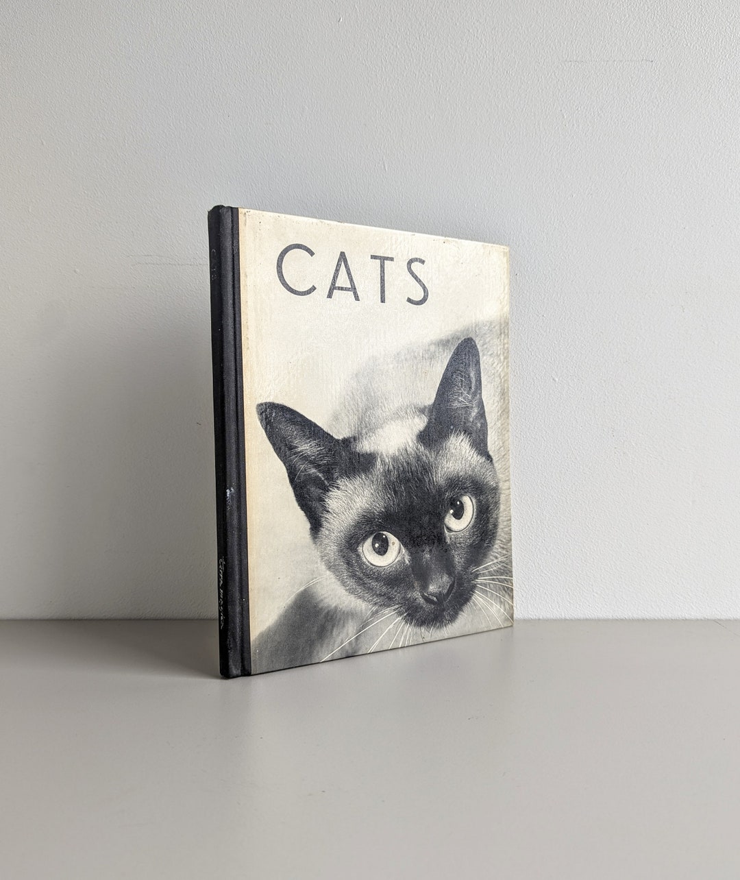Cats Photography Book Black And White 1965 Etsy Cats Photography Book Black And White 1965 Etsy