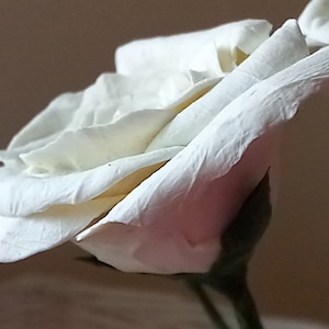 Cold porcelain rose