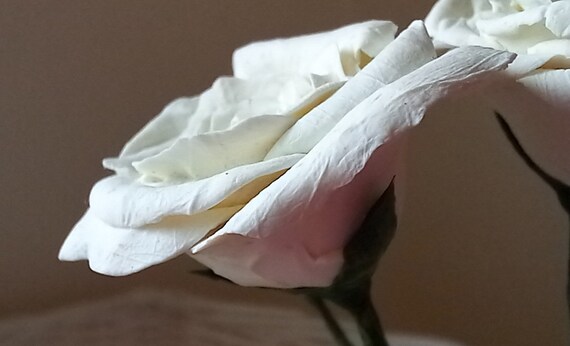 Buy cold porcelain online online
