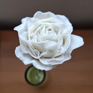 Cold porcelain rose