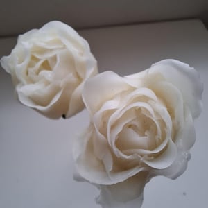 Cold porcelain two roses
