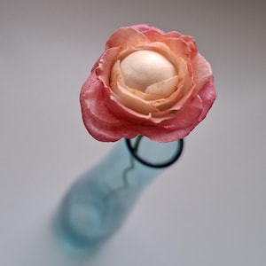 Puede incluir: Una sola flor de ranúnculo rosa y blanca en un jarrón de vidrio azul.