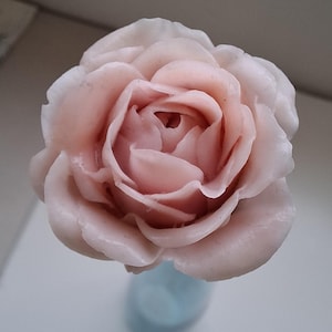 Cold porcelain rose