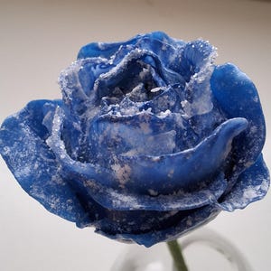 Cold porcelain winter rose