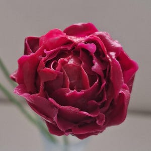 Cold porcelain rose