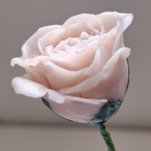 Cold porcelain rose