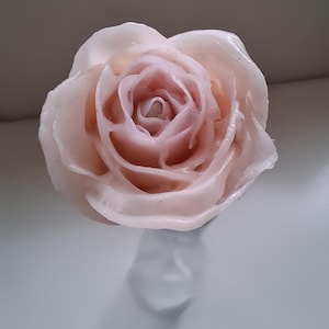 Cold porcelain rose
