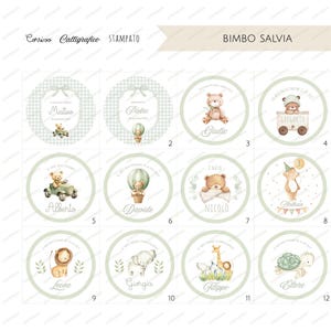 May include: A collection of twelve round stickers with watercolor illustrations and text. The stickers feature teddy bears, animals, and names, with a soft green and white color scheme. The text includes names and phrases.