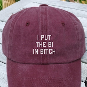I Put The Bi In Bitch Hat, Bisexual Meme Baseball Cap, Bisexual Pride Hat, Embroidered hat