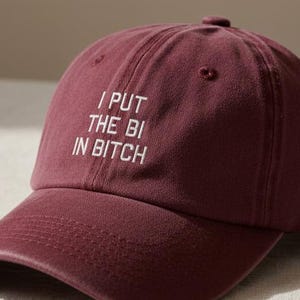Chapeau de garce I Put The Bi, casquette brodée audacieuse, chapeau impertinent drôle, chapeau de fierté queer, streetwear féministe