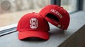 Custom Number Baseball Cap, Personalized Name Hat, Embroidered Sports Cap, Custom Text Back Hat, Baseball Number Hat Gift, Team Hat product logo