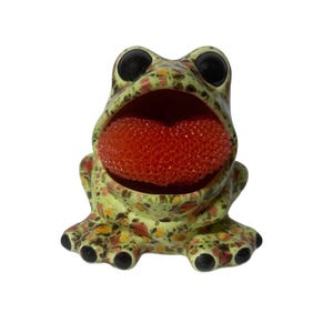 frog sponge holder, frog scrubby holder, frog lover gift, frog decor, housewarming gift