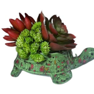 Ceramic turtle succulent planter, turtle sponge holder, succulent turtle planter, animal decor, patio decor, garden turtle, turtle decor