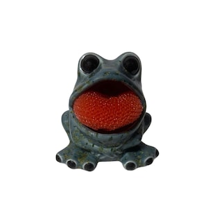 frog sponge holder, frog scrubby holder, frog lover gift, frog decor, housewarming gift
