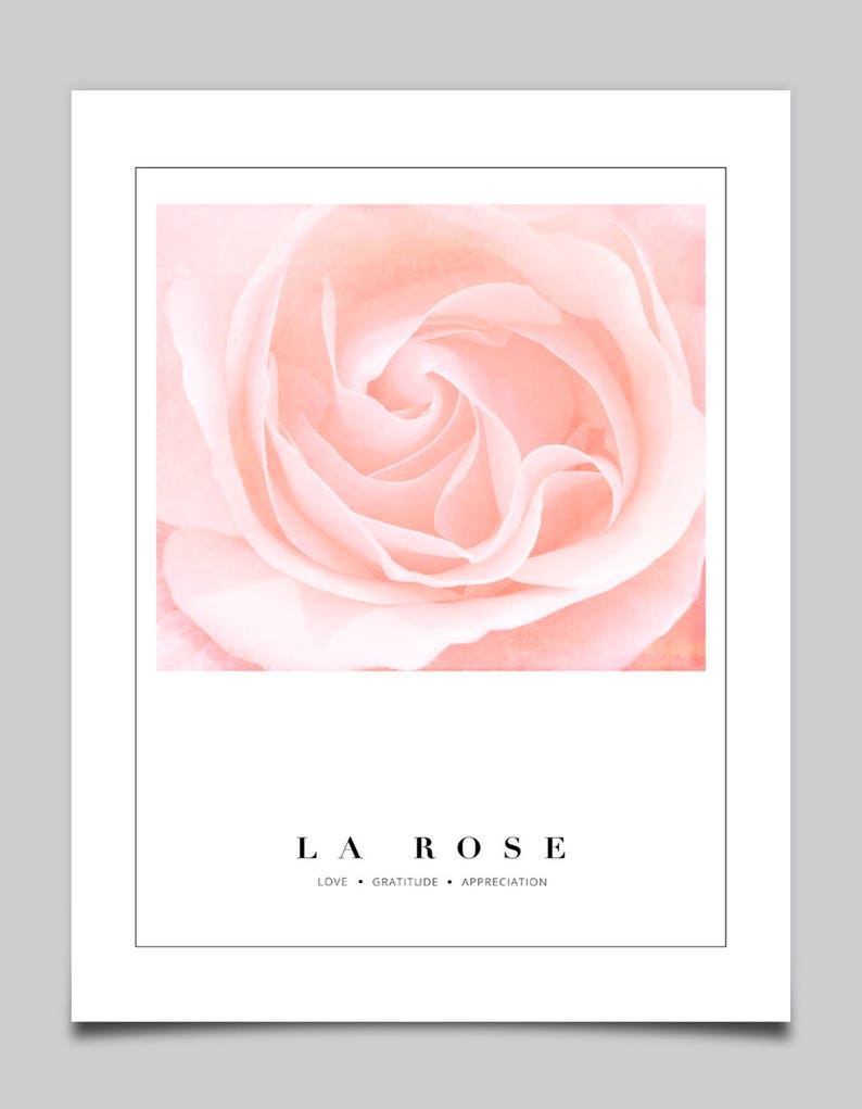 Nature Print Pink Rose Nursery Decor Pink and White Decor Bedroom Decor Rose Photography Pastel Decor Romantic Decor