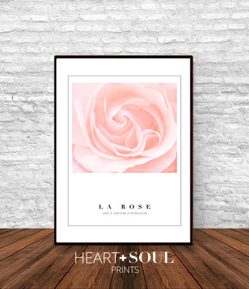 Nature Print Pink Rose Nursery Decor Pink and White Decor Bedroom Decor Rose Photography Pastel Decor Romantic Decor