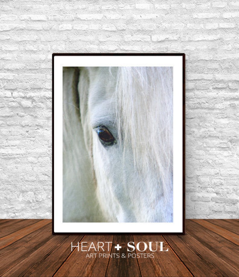 Horse Photo Black and White Art Contemporary Wall Art Horse Etsy