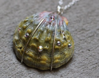 Swarovski Crystal Moonrise Shell Necklace, Moonrise Shell Jewelry, Sunrise Shell, Hawaiian Moonrise Shell, Hawaii Shell Necklace, Beach Gift
